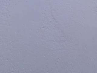 pamelaa-19