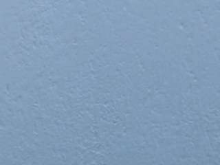 pamelaa-19