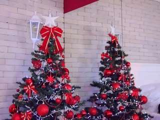 1carlawhite Live Webcam on CamSoda