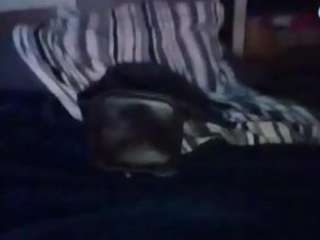 jpb175