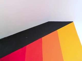 zaid-lion webcam model