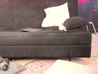 zaid-lion Sex Cam Show