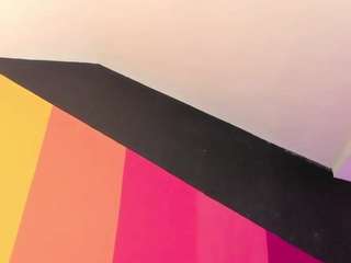 zaid-lion
