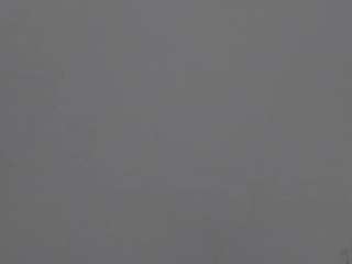 ann-rosse webcam