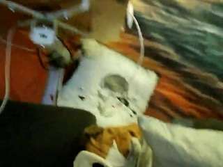 huebscherschwanz Live Webcam on CamSoda