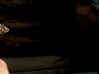 zarareign's CamSoda show and profile