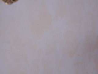 aftondace webcam model