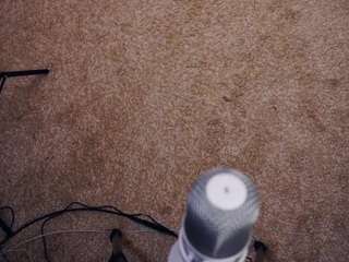 daisyeddy from camsoda
