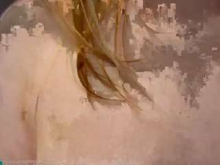  darelbeardsley chat room