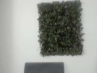 evelyn-harpeer webcam model