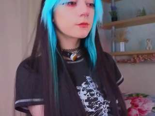 flairatcher webcam model