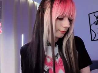 flairatcher webcam model