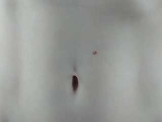 Linda-Hill live webcam show