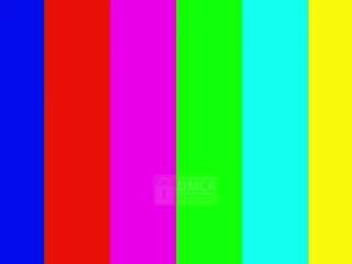 lynnebeldon webcam