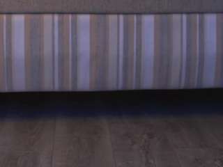 breebench webcam