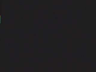 donnaburkee webcam
