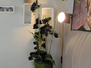 KiraGaves's Live Sex Cam Show