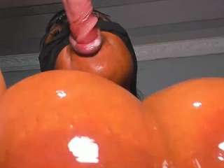 Xpanther24