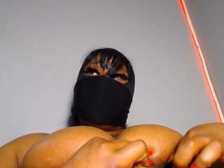 Xpanther24