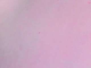 Linda