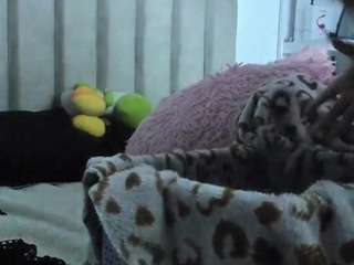 Queen-Antonella-Oficial