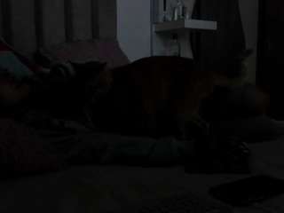 queen-antonella-ofic... webcam