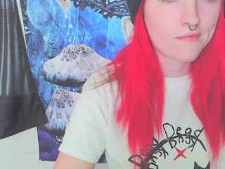 stormythunder webcam