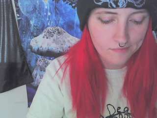 stormythunder webcam