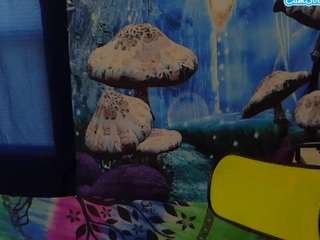 stormythunder webcam