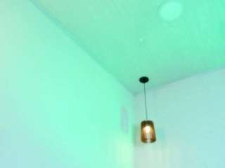 dollyzoe webcam