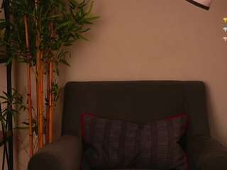 maidaeger webcam