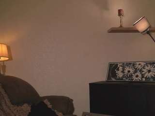 maidaeger webcam