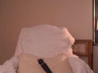 maidaeger webcam