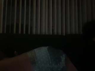 princess-stallion webcam