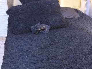 ximenawilliamss webcam