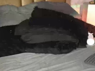 Ximenawilliamss