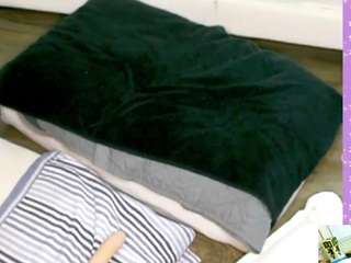 le modèle carmencash est en webcam porno dans un show sur le site camsoda, il possède les tags suivants: ahegao,red hair,large tits,amateur,naked,natural,public,pussy,role play,fuck machine,sexting,sexy,shaved pussy,squirter,tease,teen 18,young adult,hairy pussy,lush,foot fetish