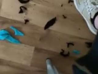 MR. CUM