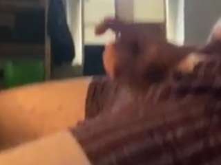 faze040 webcam model