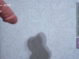veronaferrett webcam