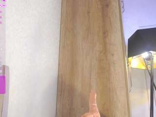 veronaferrett webcam