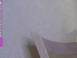 veronaferrett webcam