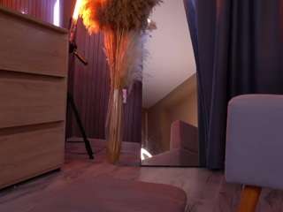 deeptalkss webcam