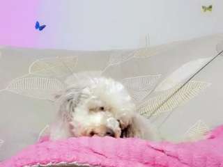 Tati-Gill
