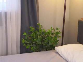 bellacle webcam