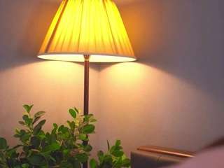 bellacle Strip live webcam