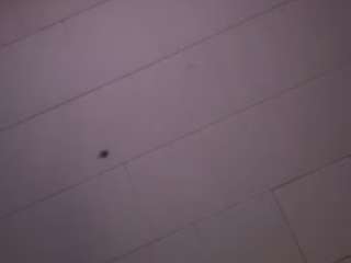 dogpound44 Live Webcam on {site_name}