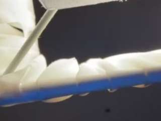 dogpound44 Live Webcam on {site_name}