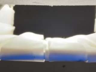 dogpound44 Live Webcam on {site_name}