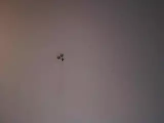 Mary's Live Sex Cam Show